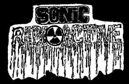 sonicInt05c.jpg (61778 bytes)